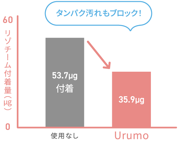 タンパク質もブロック！