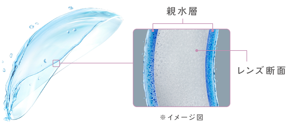 親水層・レンズ断面のイメージ図