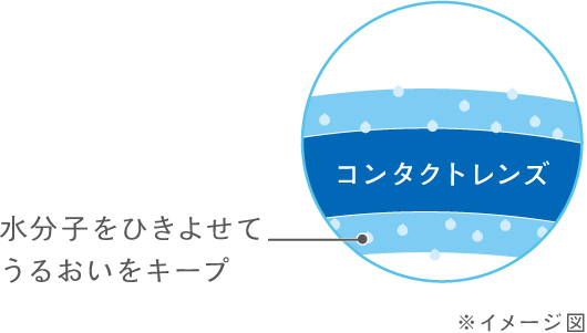 水分子をひきよせてうるおいをキープ