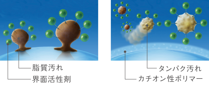 フォーシーズンケア　カチオン性ポリマーによるコーティングイメージ図