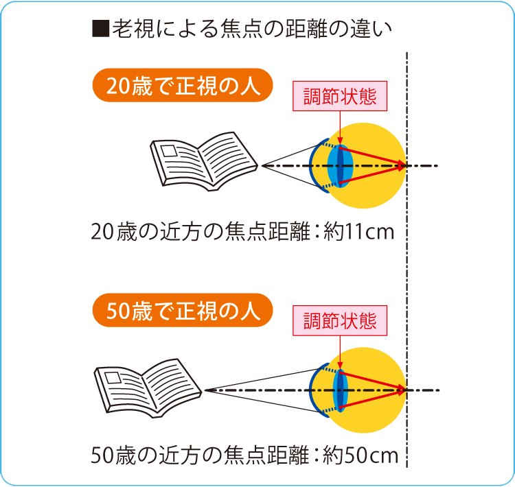 老視による焦点の距離の違い