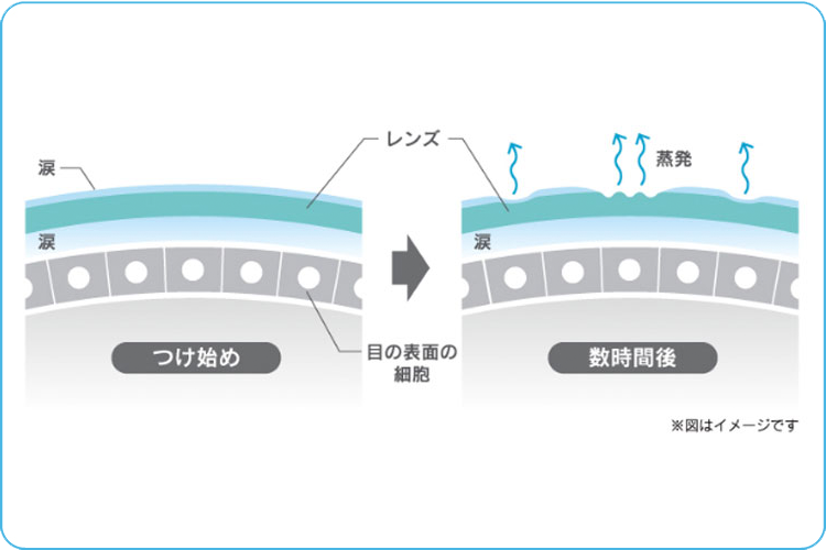 つけ始めと数時間後