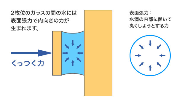 コンタクトレンズが安定するための涙の働き