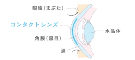 イメージ図