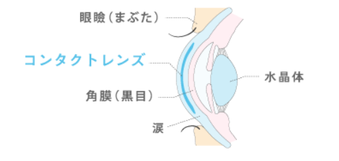 イラスト