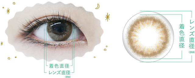 カラコンの「DIA.」とは？着色直径（外径）との違いは？