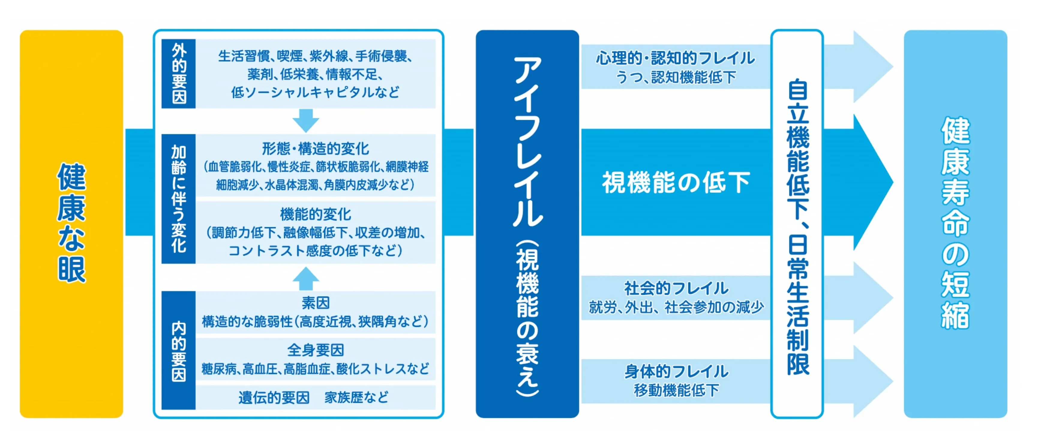 出典:日本眼科啓発会議 「アイフレイル啓発公式サイト」