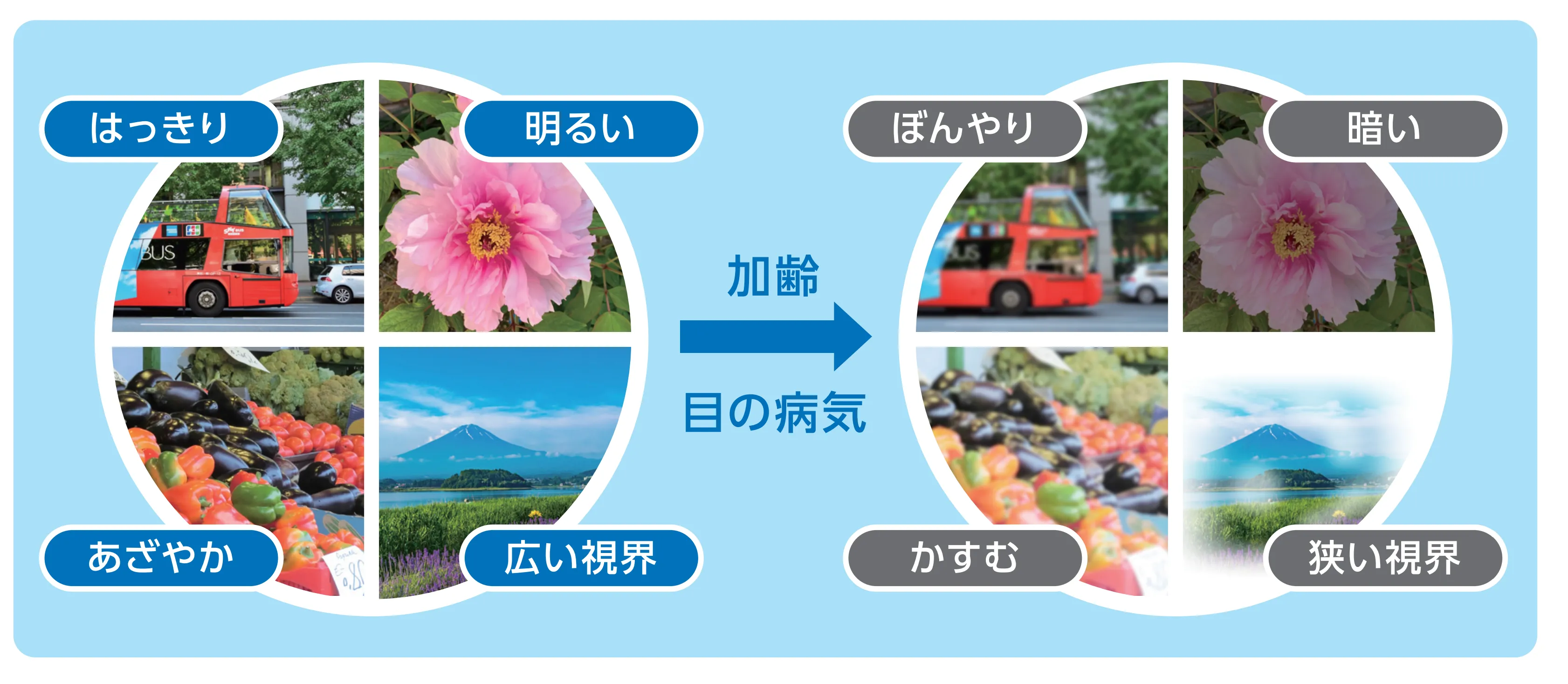 出典:日本眼科啓発会議「40歳以上の人のためのアイフレイルガイド」