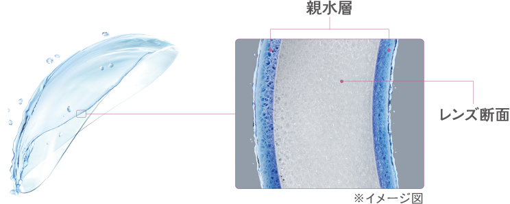 親水層/レンズ断面のイメージ図