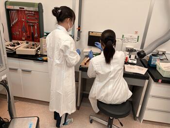 職場体験の様子2