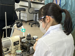 職場体験の様子3