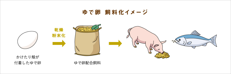 ゆで卵 飼料化イメージ