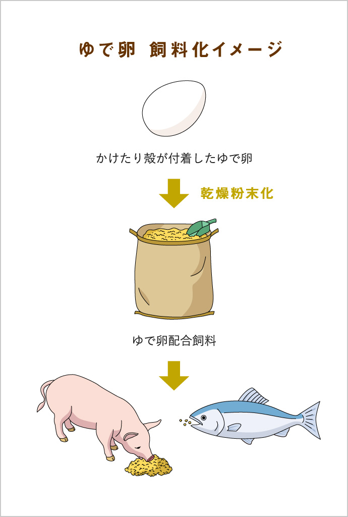 ゆで卵 飼料化イメージ