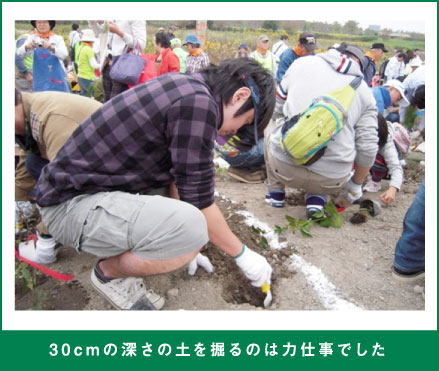 30cmの深さの土を掘るのは力仕事でした