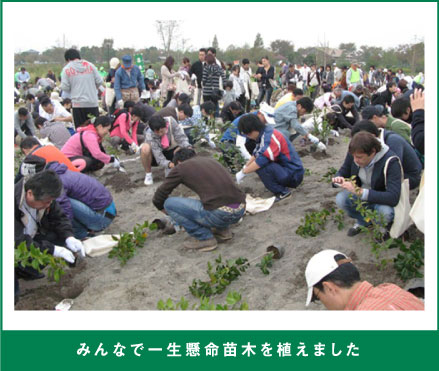 みんなで一生懸命苗木を植えました