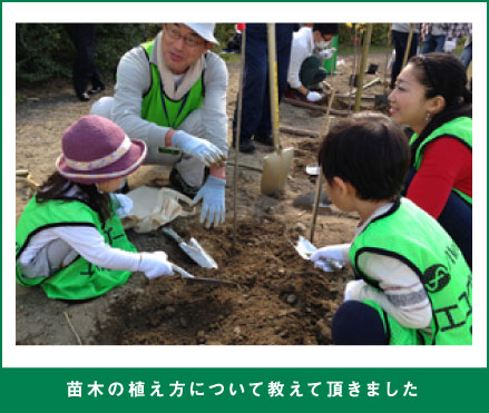 苗木の植え方について教えて頂きました