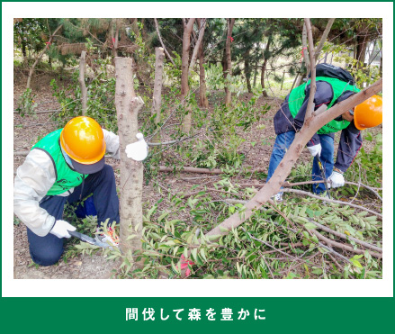 間伐して森を豊かに