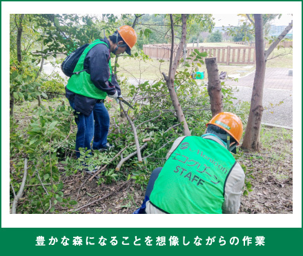 豊かな森になることを想像しながらの作業