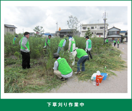 下草刈り作業中