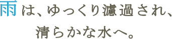 雨は、ゆっくり濾過され、清らかな水へ。