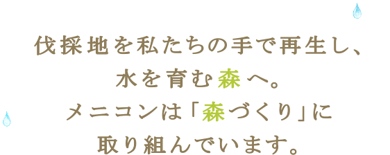 伐採地を私たちの手で再生し、水を育む森へ。メニコンは「森づくり」に取り組んでいます。