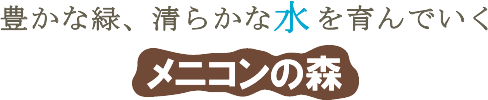 豊かな緑、清らかな水を育んでいく メニコンの森