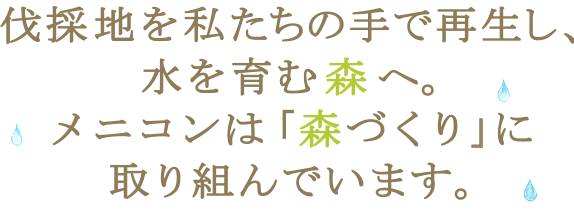 森に、願いを。清らかな水が、ずっとそばにありますように。メニコンの森