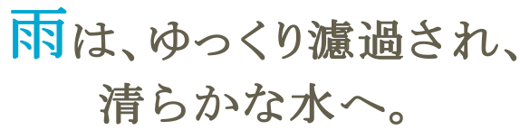 雨は、ゆっくり濾過され、清らかな水へ。