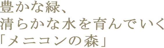 豊かな水資源を願って…。