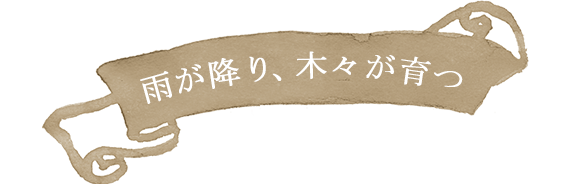 雨が降り、木々が育つ