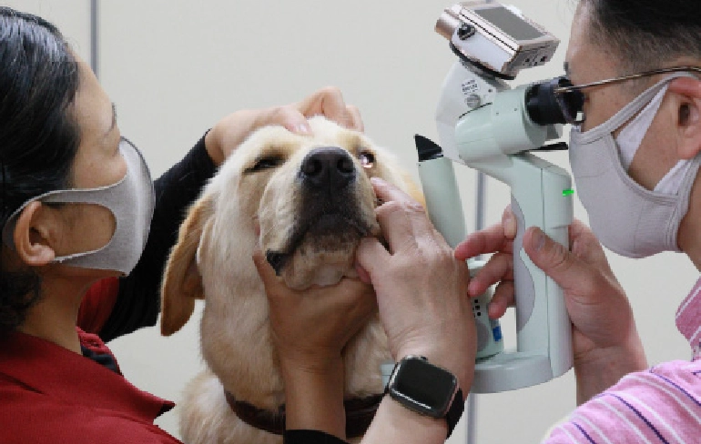 補助犬の健康診断