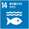 14．海の豊かさを守ろう