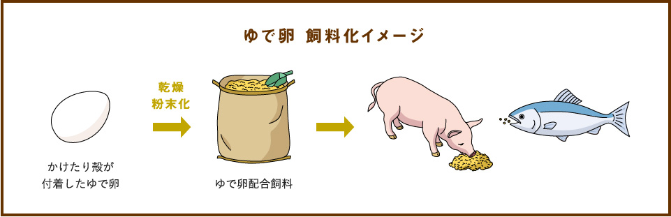 ゆで卵 飼料化イメージ