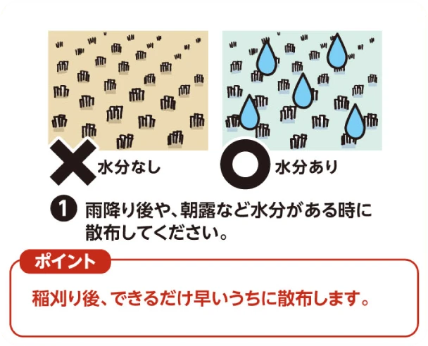 （1）雨降り後や朝露など水分がある時に散布してください