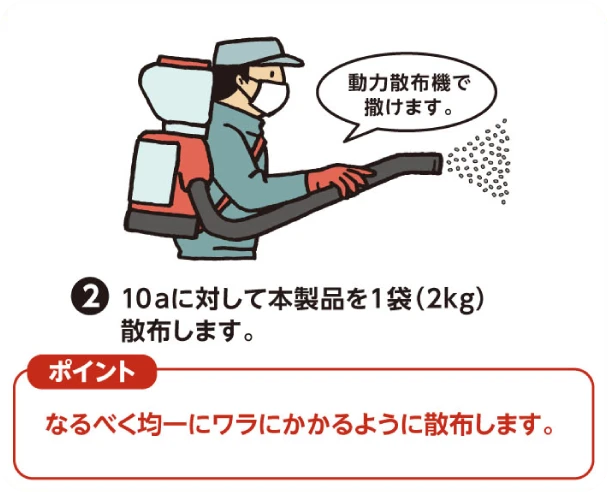 （2）10aに対して本製品を1袋散布します