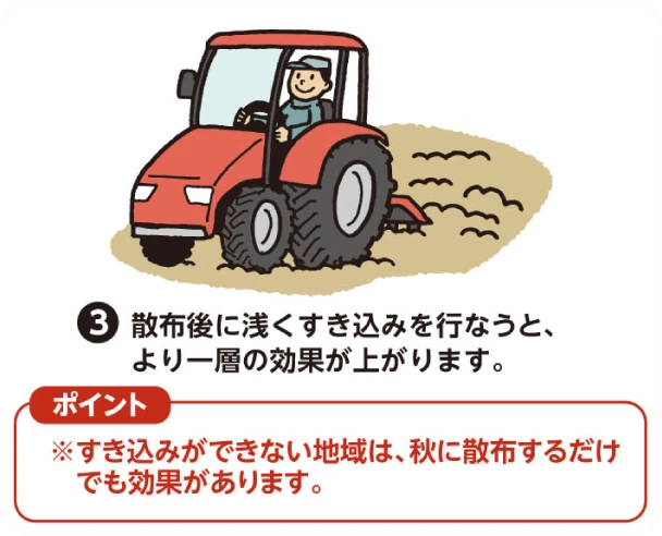 （3）散布後に浅くすき込みを行うとより一層の効果が上がります