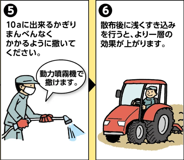  （5）10aに出来るかぎりまんべんなくかかるように撒いてください （5）散布後に浅くすき込みを行うと、より一層の効果が上がります