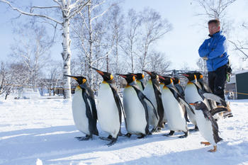 坂東園長先生とペンギン（チラシメイン）.jpgのサムネイル画像