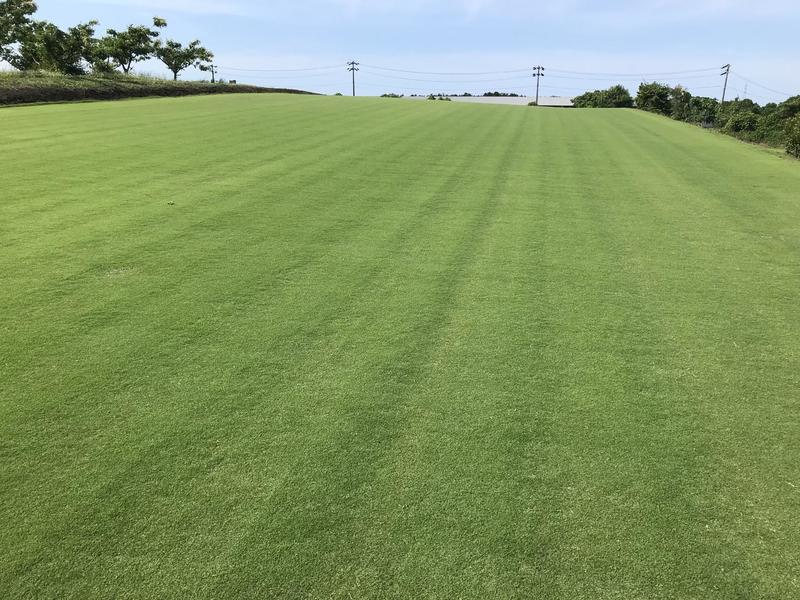 ナルオターフ生産圃場の様子