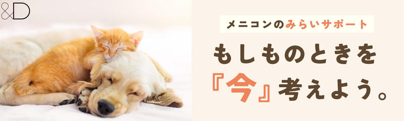 &Dメインビジュアル