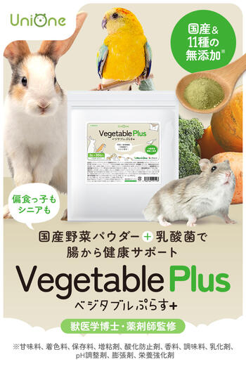 ベジタブルぷらす