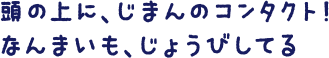 頭の上に、じまんのコンタクト！なんまいも、じょうびしてる