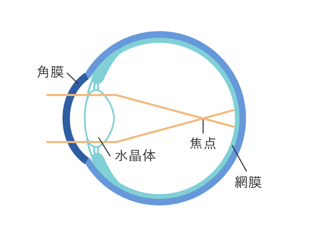 装用前