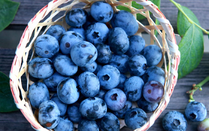 「アントシアニン」を摂ろう!!目にやさしい食材を使った春夏秋冬料理レシピ4選